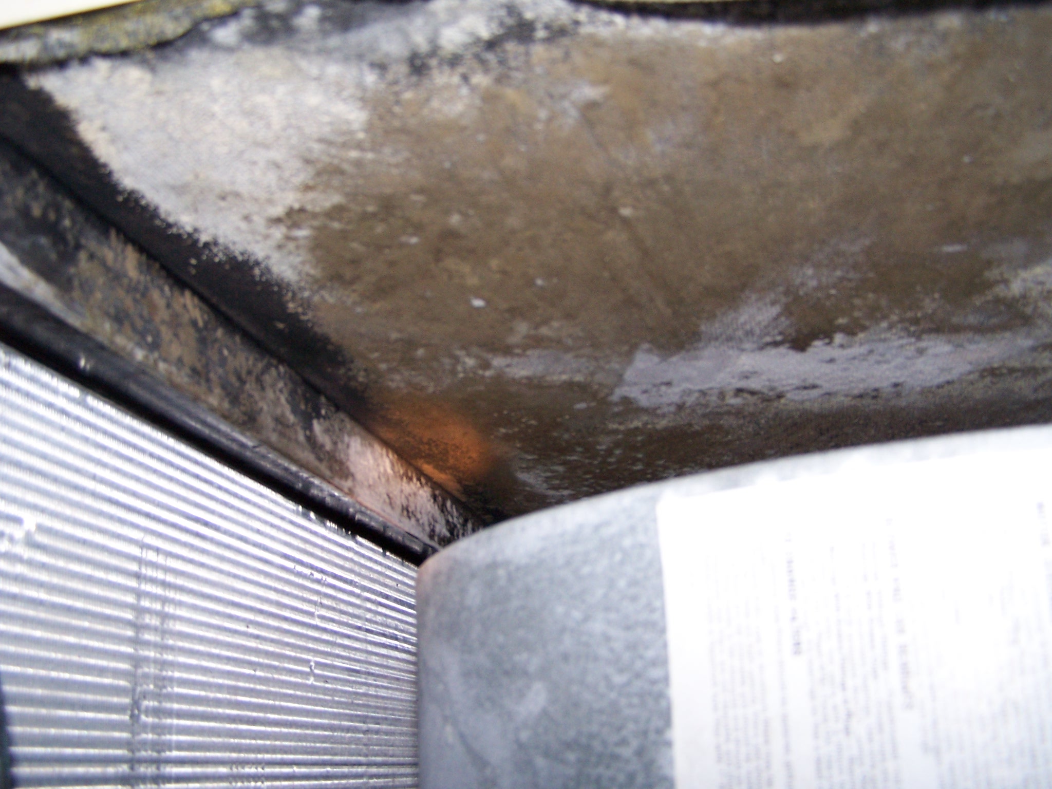 Mold